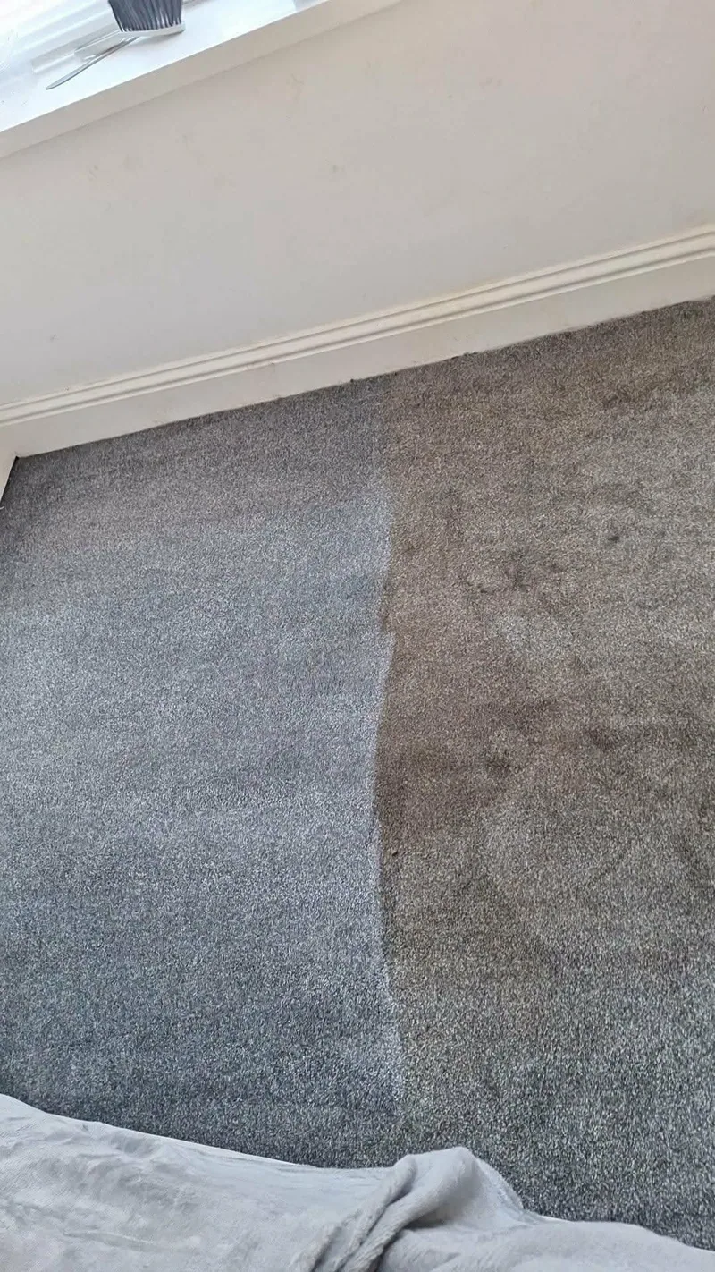 Bedroom carpet half cleaned showing the difference hot-water extraction makes, Washington