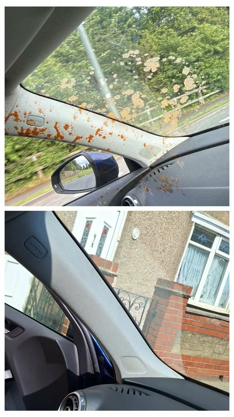 Car headlining and A-pillar splattered with food before and after an interior valet